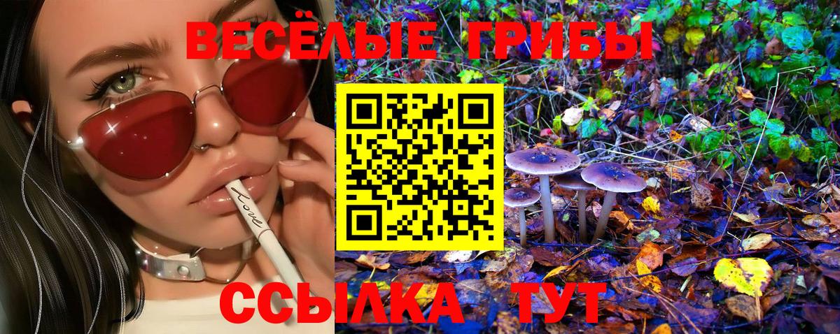 Псилоцибиновые грибы прущие грибы  Вход с VPN  Самара 