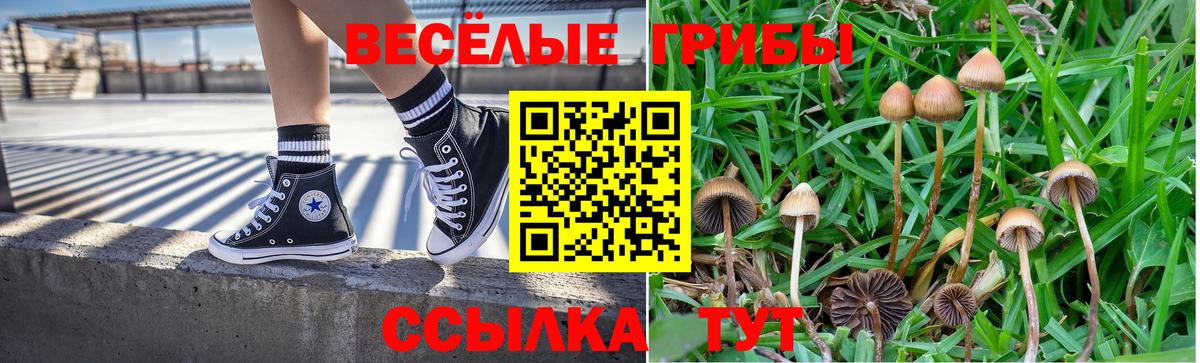 Галлюциногенные грибы мухоморы Самара